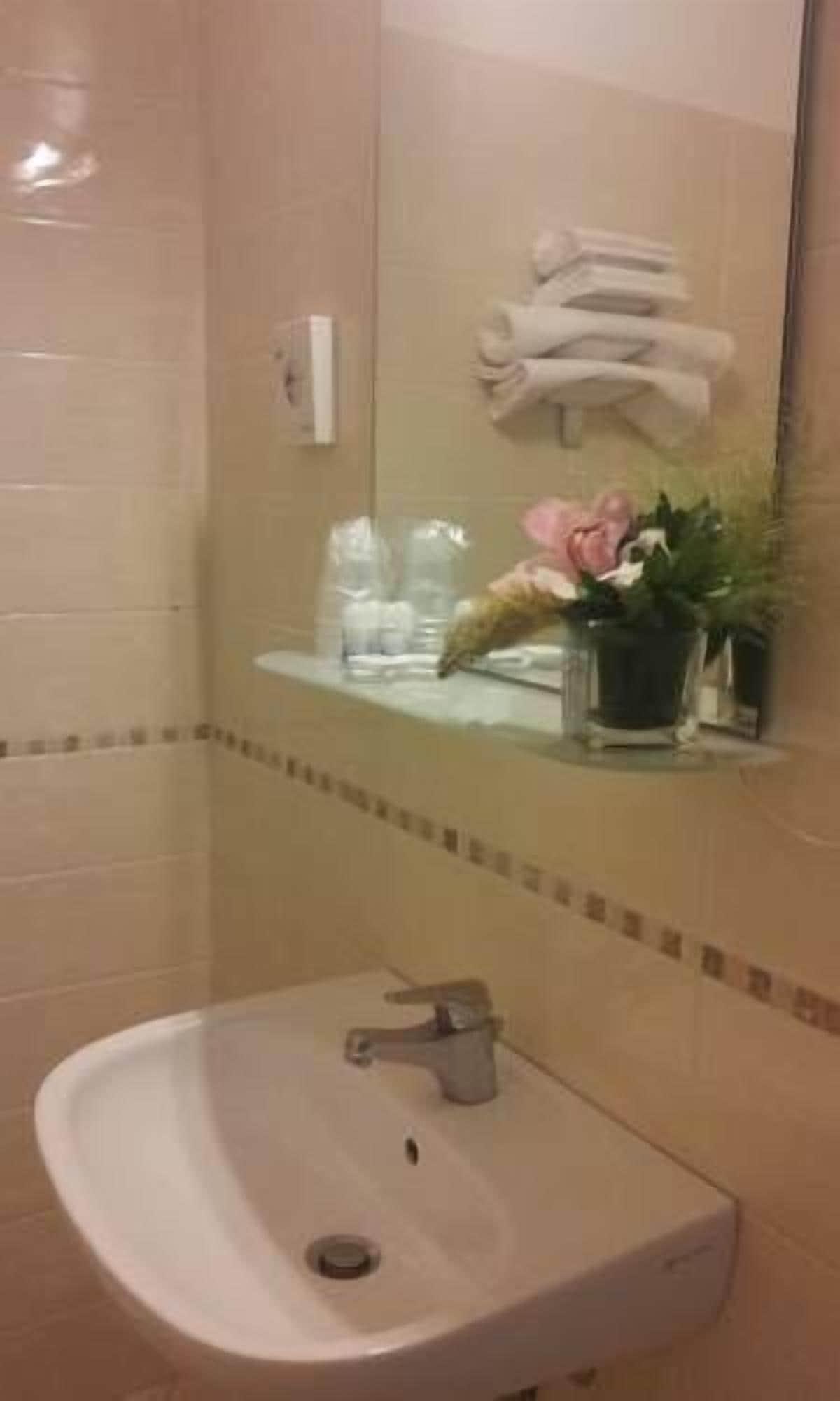 פיזה Hotel Astor מראה חיצוני תמונה